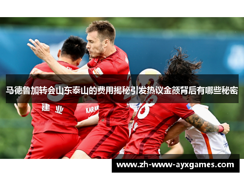 马德鲁加转会山东泰山的费用揭秘引发热议金额背后有哪些秘密