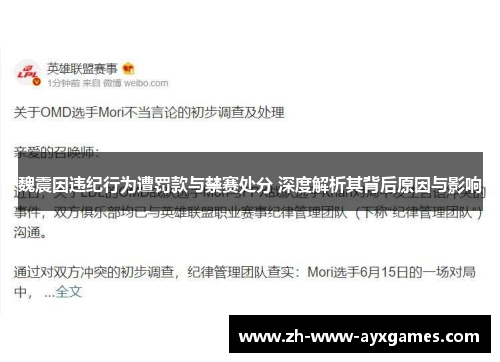 魏震因违纪行为遭罚款与禁赛处分 深度解析其背后原因与影响